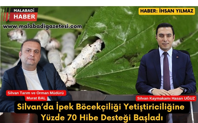 Silvan’da İpek Böcekçiliği Yetiştiriciliğine Yüzde 70 Hibe Desteği Başladı